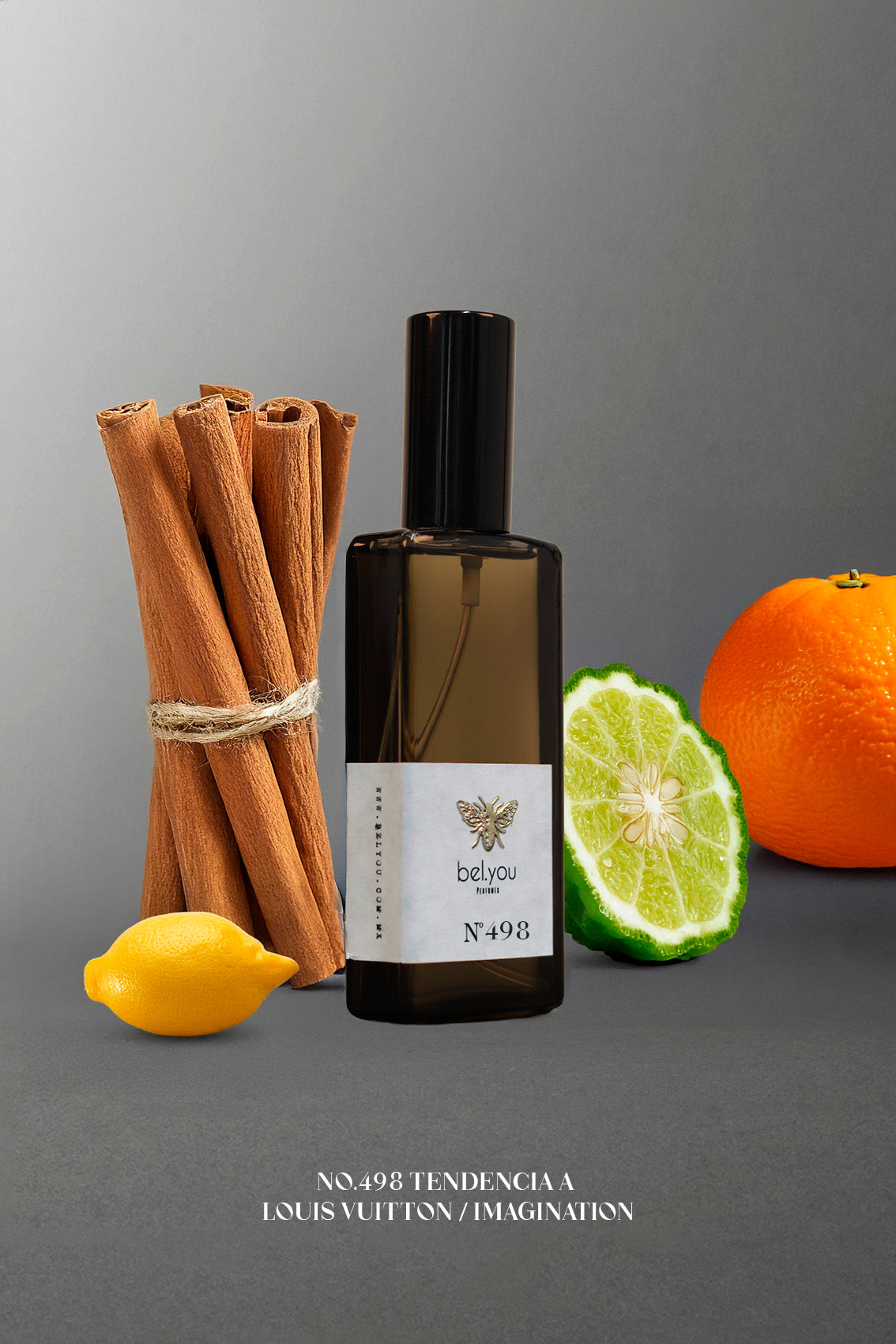 No.498 Tendencia a Louis Vuitton / IMAGINATION