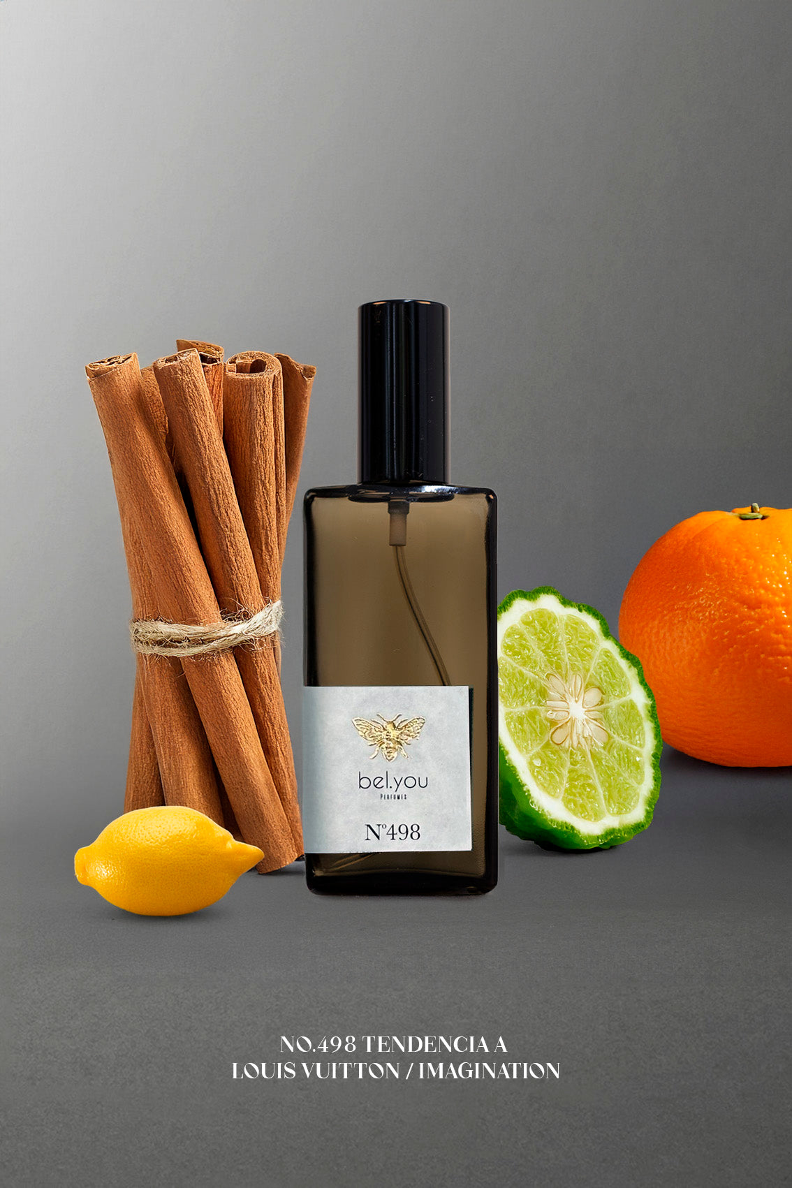 No.498 Tendencia a Louis Vuitton / IMAGINATION