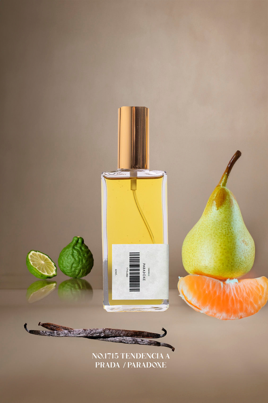 No.1715 Tendencia a Prada / PARADOXE