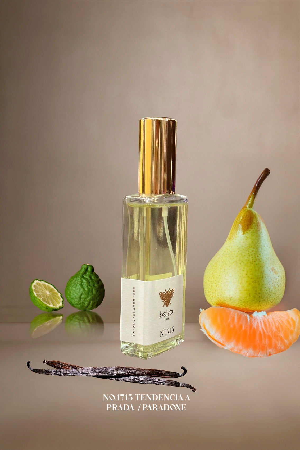 No.1715 Tendencia a Prada / PARADOXE