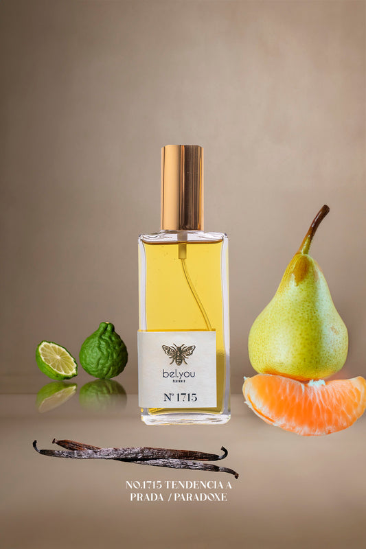 No.1715 Tendencia a Prada / PARADOXE